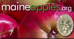 maine apples